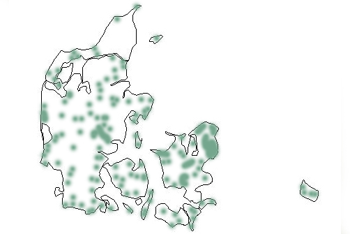 haaretmosaikkort